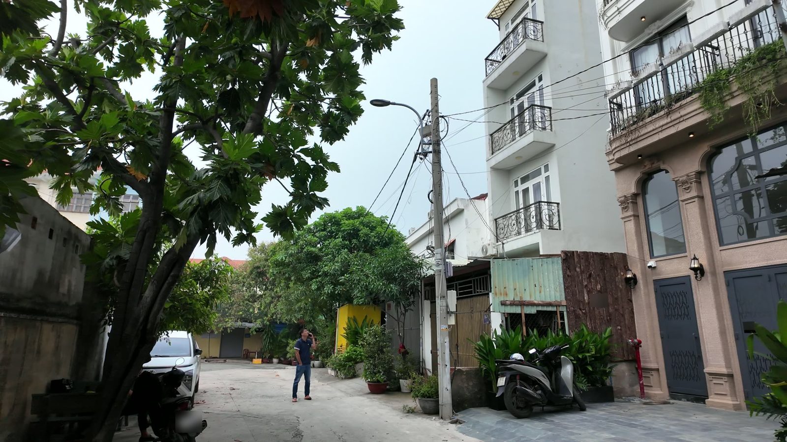 Đường trước tòa nhà rộng, có cây xanh, ô tô đỗ ven đường