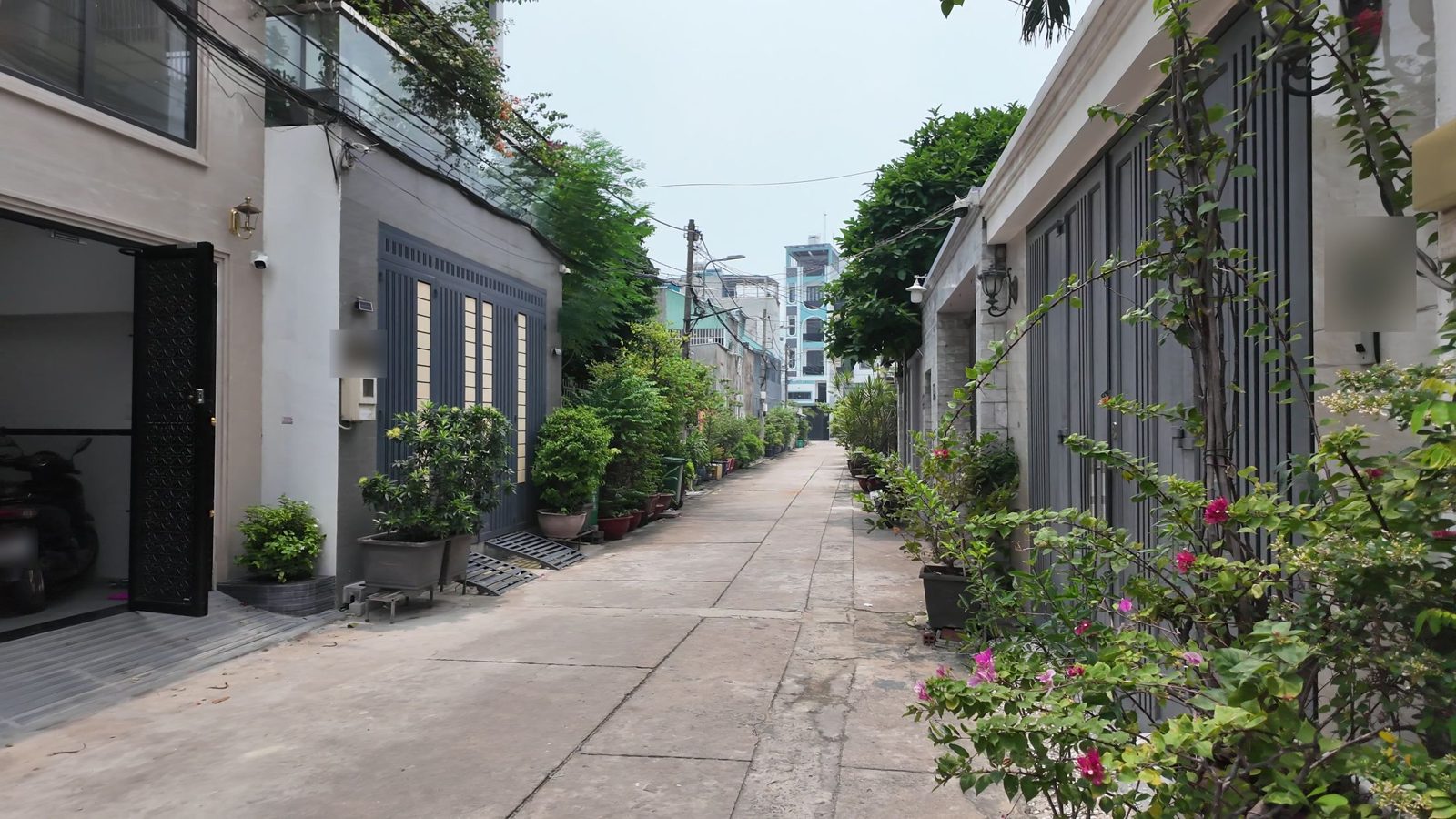 Con đường rợp cây xanh trong một khu dân cư ở Gò Vấp