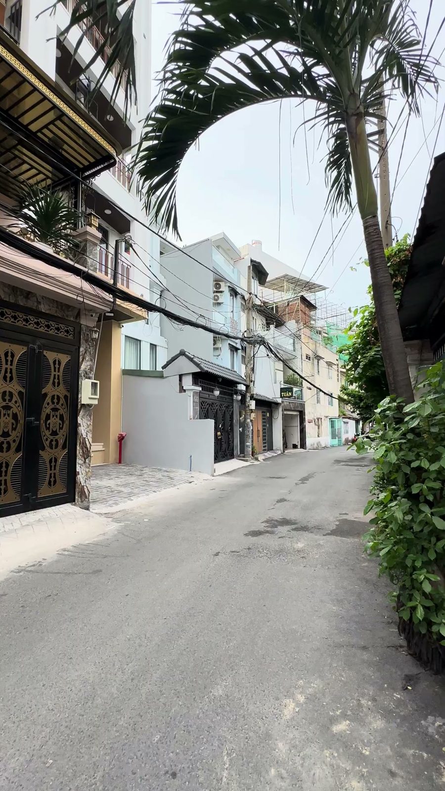 Con hẻm bê tông giữa hai dãy nhà phố, bên phải là hàng rào cây xanh